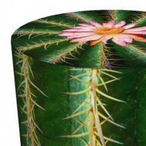 Fola - Tabure Kaktus