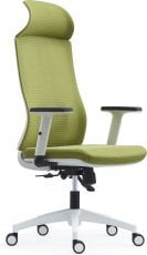 Direktorski stol Zabla