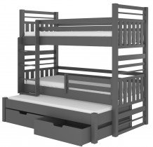 Grafit  CH-Hip-G-190-E1896