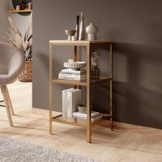 Regal Rolin - zlati/sonoma hrast