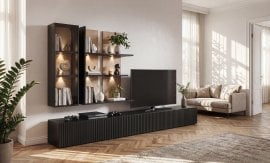 Dnevni TV regal Soul
