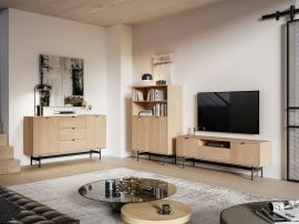 Dnevna soba in spalnica Reynos