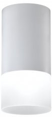 Candellux - Stropna svetilka Tube 1x50W GU10 6,4cm Frozen/White