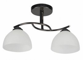 Stropna svetilka Gracja 2x40W E27