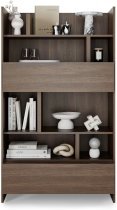 Regal BC-27 - hrast dunin
