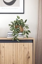 Lenart - Vitrina Trend TR-07