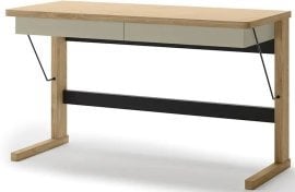 Pisalna miza Ollie OL-06