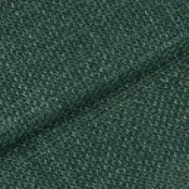 Ottawa Dark Green