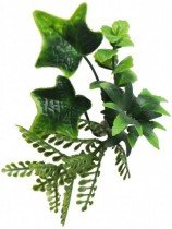 Mirpol - Zelena plošča Ivy