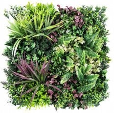 Zelena plošča Esencja II