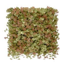 Plošča z barvitimi rastlinami Jiaogulan (50x50 cm)