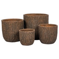 Set loncev Forrest 1/4