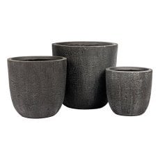 Set loncev Preto 1/3
