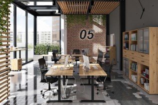 Black Red White - Regal Space office 