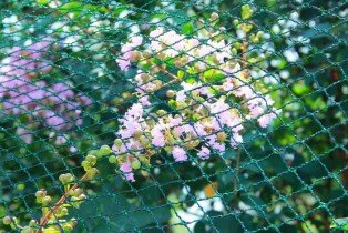 Chomik - Vrtna zaščitna mreža 12x25m - JAW9868