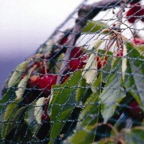 Chomik - Vrtna zaščitna mreža 12x25m - JAW9868