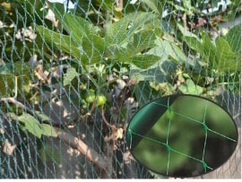 Zaščitna mreža pred pticami - STK6434