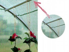 Chomik - Vrtni rastlinjak 4x2,5m - bel - TUN5590