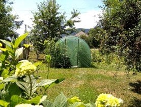 Chomik - Vrtni rastlinjak 6x3m - zelen - TUN5613