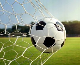 Chomik - Nogometni gol "Champions" z mrežo - TIS3395