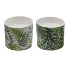 Dekorativna sveča citronella Erla 10x9 cm - INA7492