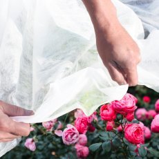 Agrovlakno 1.6x5 m - bela 30 g/m² - AGO2104