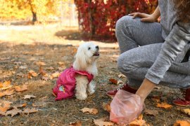Chomik - Vrečke za pasje iztrebke z etuijem 360 kosov - PET9684