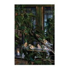 Chomik - Vrtna solarna girlanda 1,2 m Ptice s sponko 5 LED - toplo bela - SOL6063