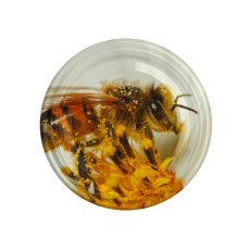 Pokrovčki fi82 6z velika čebela na cvetu kart.660kos chomik/3199/