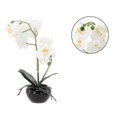 Umetni cvet - bel orhidej 30 cm pak=6 kos *4795