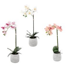 Umetni cvet - orhideja mix 3 barv 45 cm pak=6 kos *4856