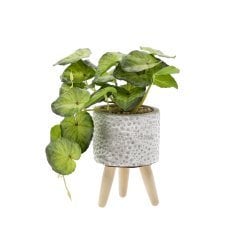 Umetna rastlina 20 cm pak=6 kos *4870