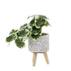 Umetna rastlina 20 cm pak=6 kos *4887