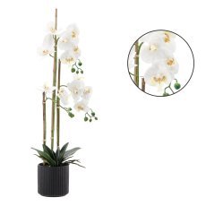 Umetni cvet - bel orhidej 77 cm pak=2 kos *4764