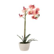 Umetni cvet - orhideja mix 3 barv 43 cm pak=6 kos*4801