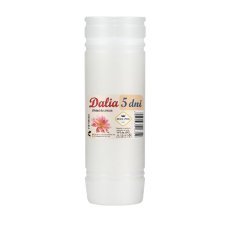 Kompl.10 kos vložkov parafinskih dalia 19cm/120h *6352*3040