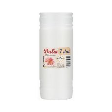 Kpl.10 kos vložkov parafinskih dalia 19cm/168h *2609*2603