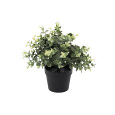 Umetna rastlina - evkaliptus v lončku 22 cm pak=4 kos *3337