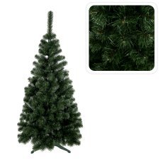 Baltski bor klasičen 1.8 m božično drevo *1095
