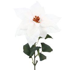 Umetna vejica Božična zvezda - bela, pak 12 kos - HID3728