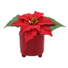 Umetna božična zvezda v keramičnem lončku 9x17 cm - POI5210