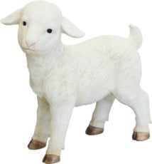 FIGURA OVCA 28 x 9 x 28 cm