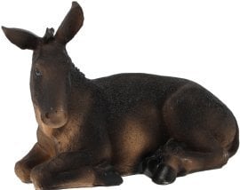 Figura osel - LIG3075