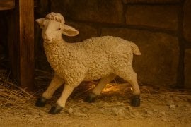 Figura OWCA 8 × 19 × 17 cm (60,96 cm) polirezina *3082