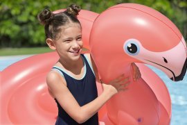 Chomik - Napenjalni plavalni obroč – Flamingo - BES41525