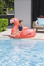 Chomik - Napenjalni plavalni obroč – Flamingo - BES41525