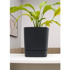 Chomik - Lonec z podstavkom Clima 30x30 сm - LAM41435