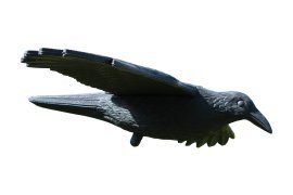 Odganjalec ptic Vran - PTA9172