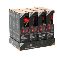 Chomik - Sončna svetilka Roza 3 LED - toplo bela - SOL4712