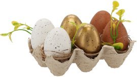 Komplet 6 jajc v embalaži - SUN8098